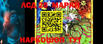 a pvp Свободный