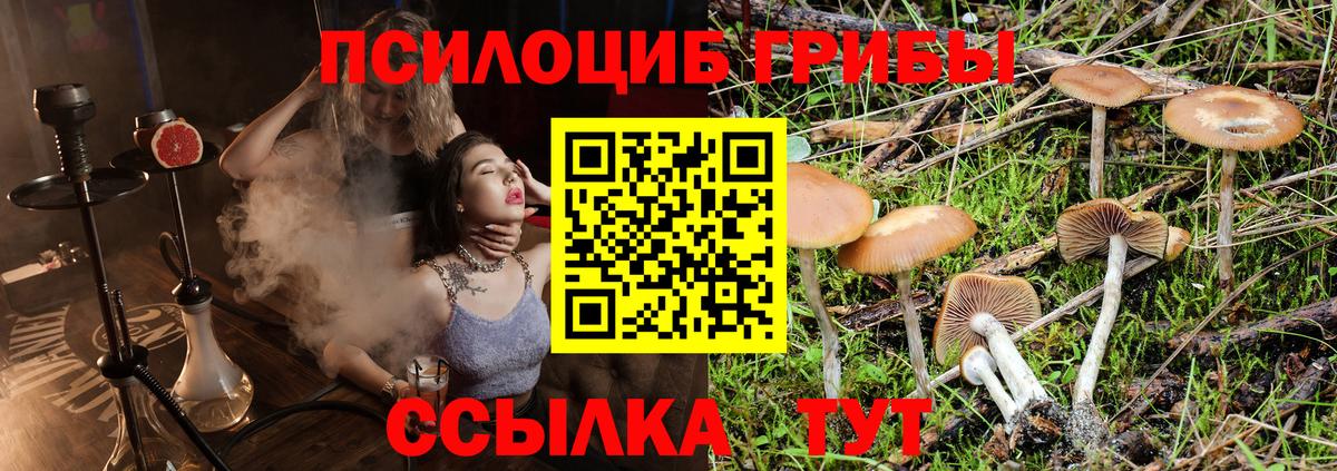 Галлюциногенные грибы ЛСД Павловский Посад